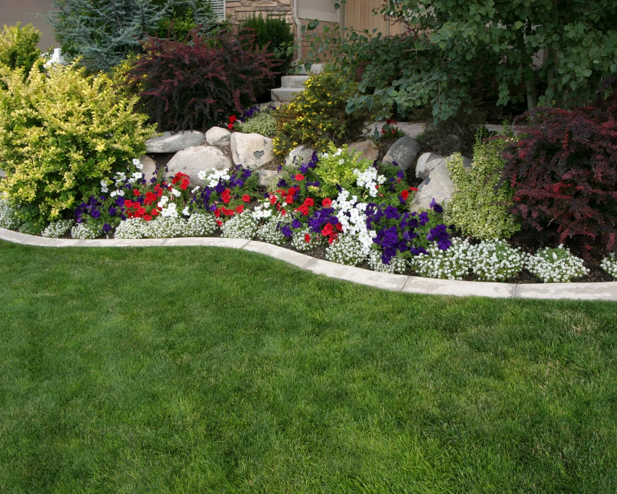 Indoor Plant Services service by Chintaman Gardeners