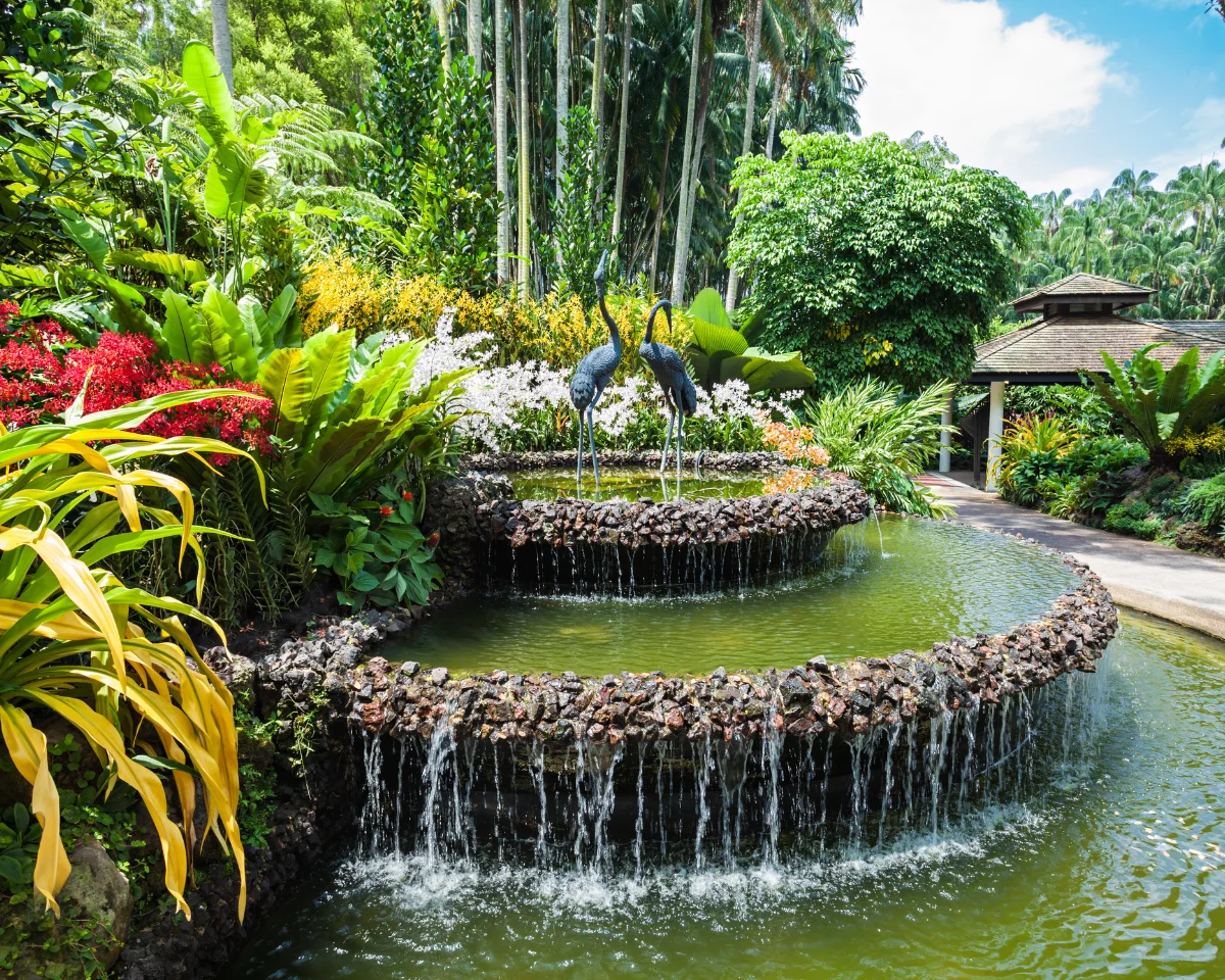 Tropical fountain with bird statues