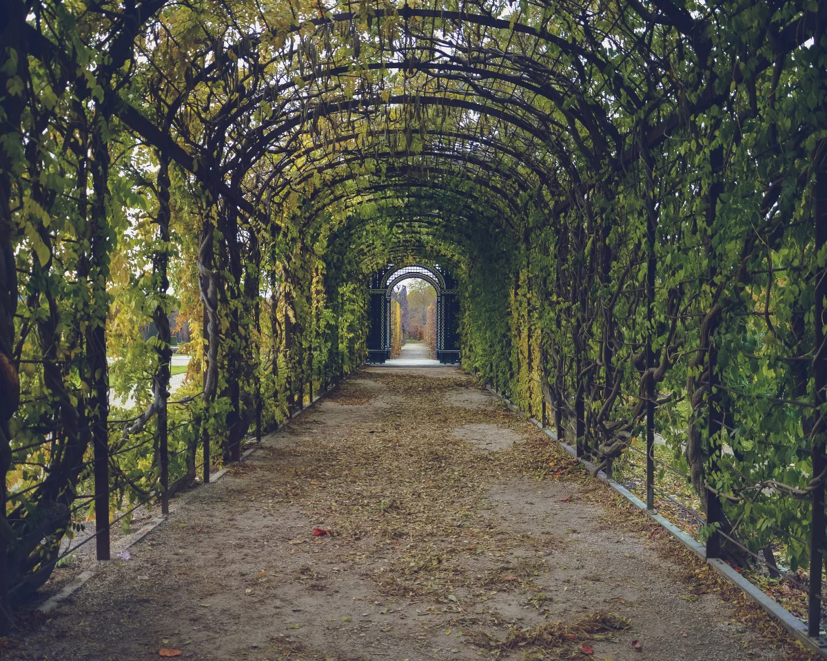 Compound Wall Gardening service by Chintaman Gardeners