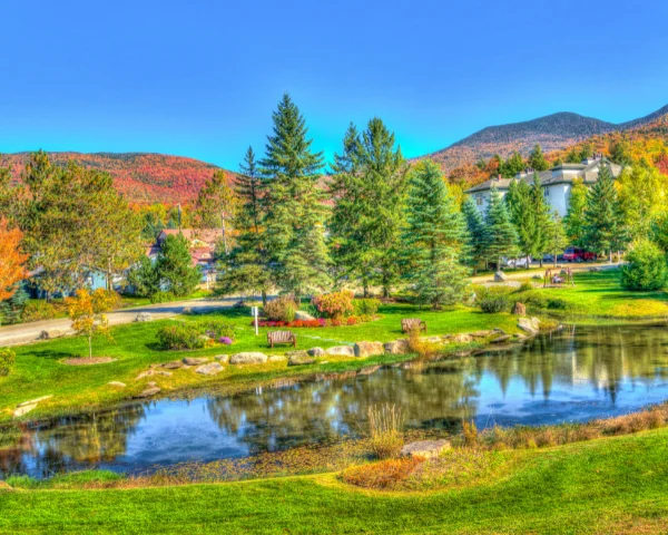 Society Garden Maintenance