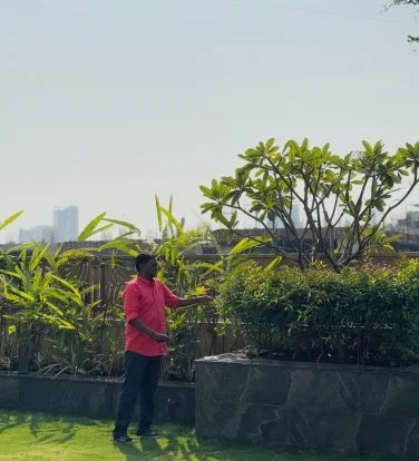 Rooftop garden project with greenery